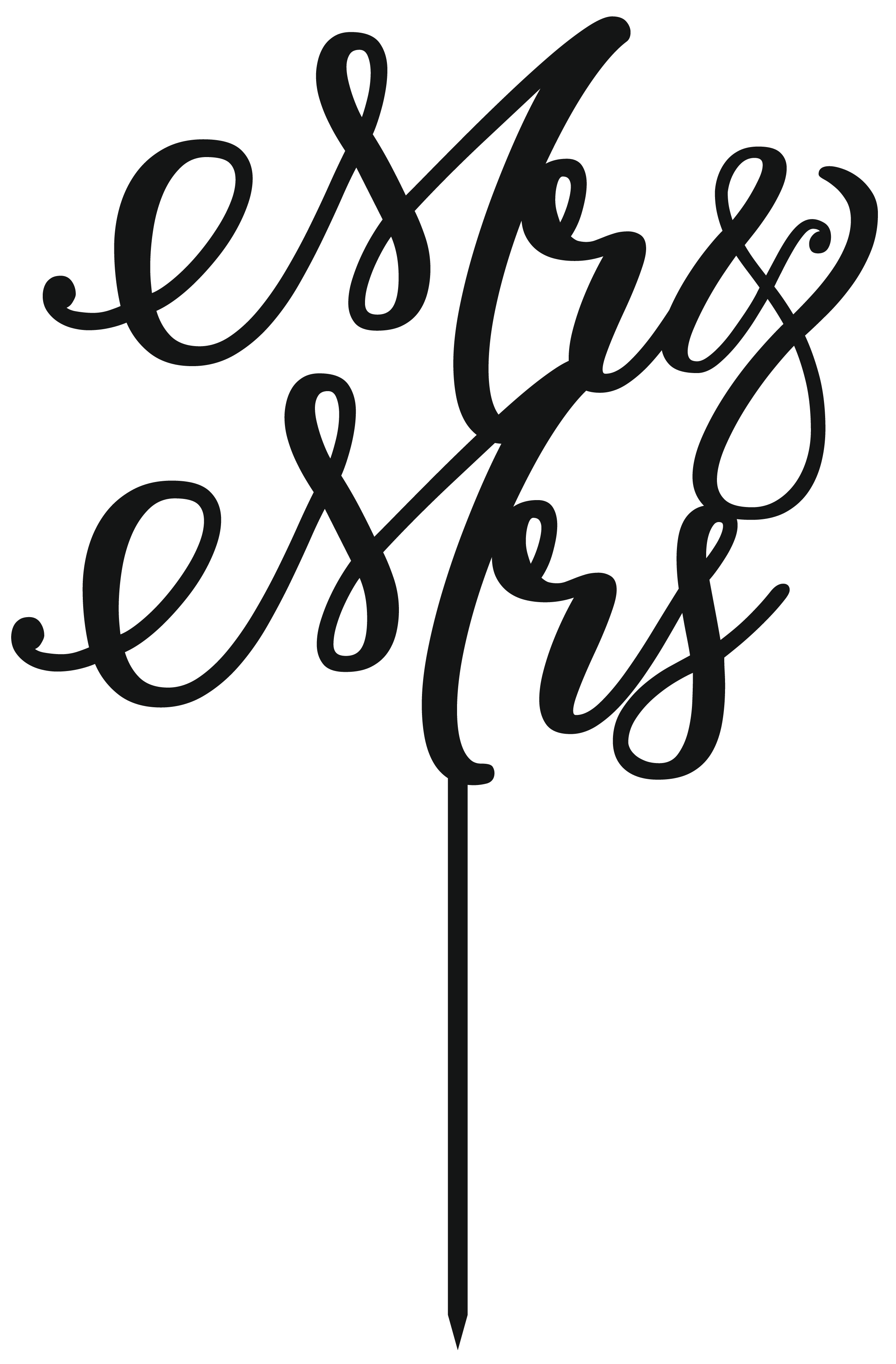 Cake Decorations - Mr & Mrs - Style 4