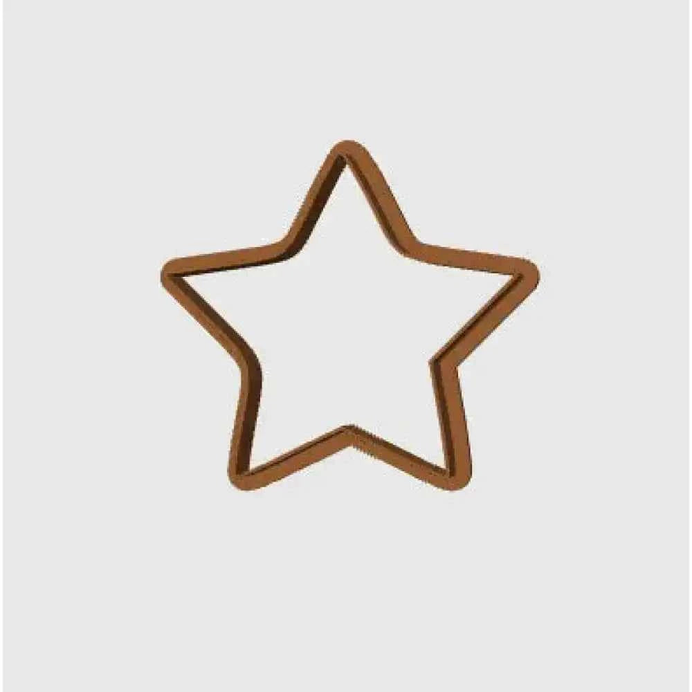Star Shape Cookie Cutter & Stamp