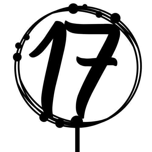 17th Birthday cake topper, perfect for birthday celebrations and adding charm to any birthday cake.